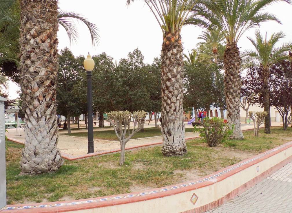 Revente - Terrain - La hoya - La Hoya-Daimes-El Derramador