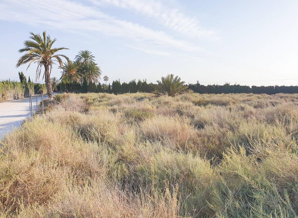 Revente - Terrain - La marina - Molar