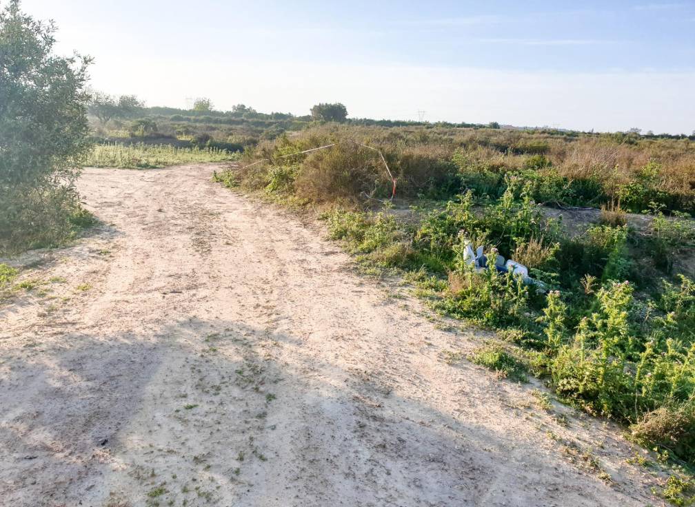 Revente - Terrain - La marina - Molar