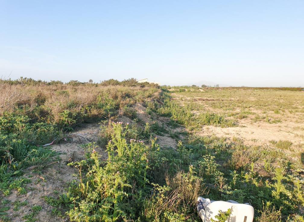 Revente - Terrain - La marina - Molar