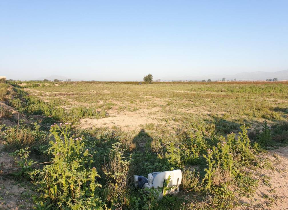 Revente - Terrain - La marina - Molar