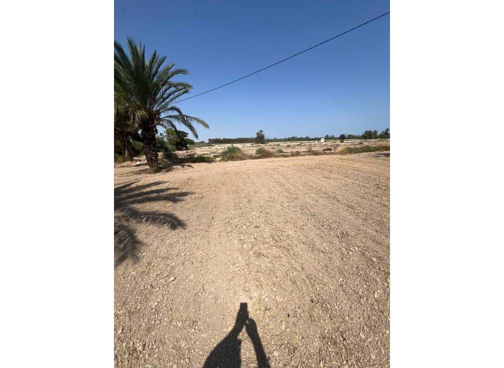 Revente - Terrain rural - Matola - Algoda-Matola-Llano de San José