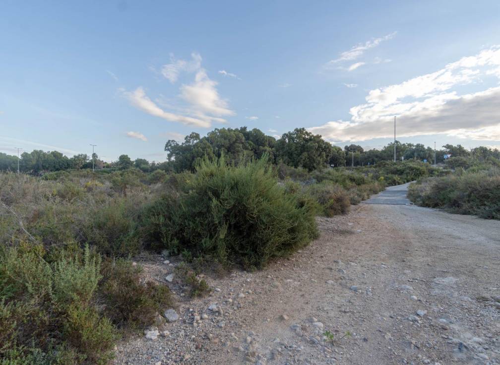 Revente - Terrain - Valverde (Alicante) - Ctra de santa pola