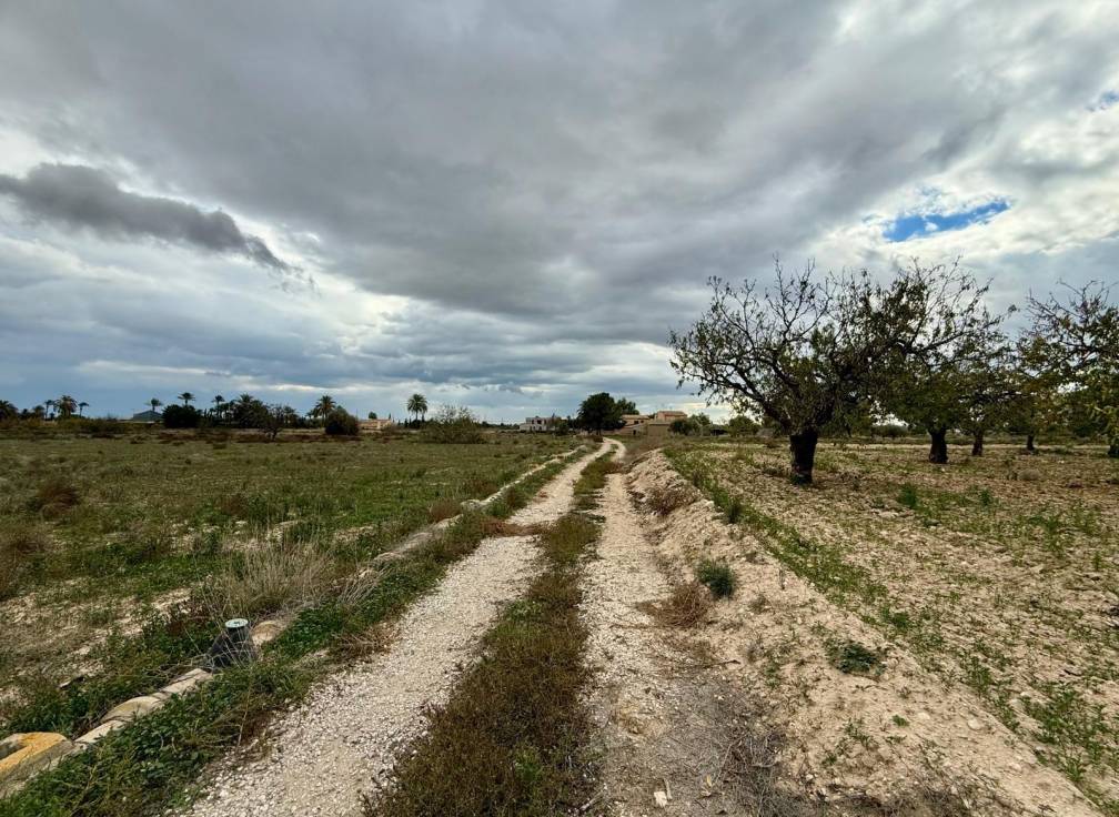 Revente - Terreno urbanizable - Perleta - Maitino-Perleta