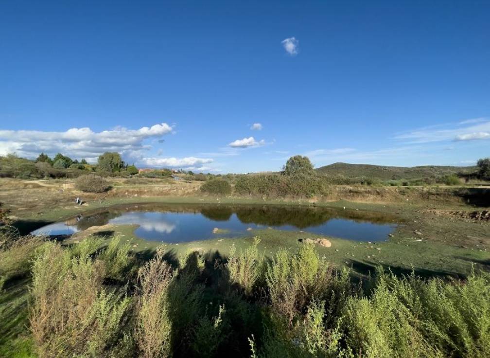 Revente -  - Torremenga - Extremadura