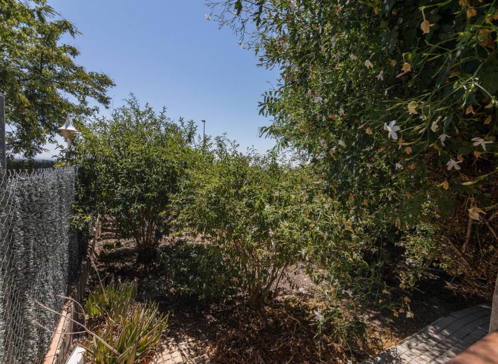 Revente - Townhouse - Elche - Bonavista