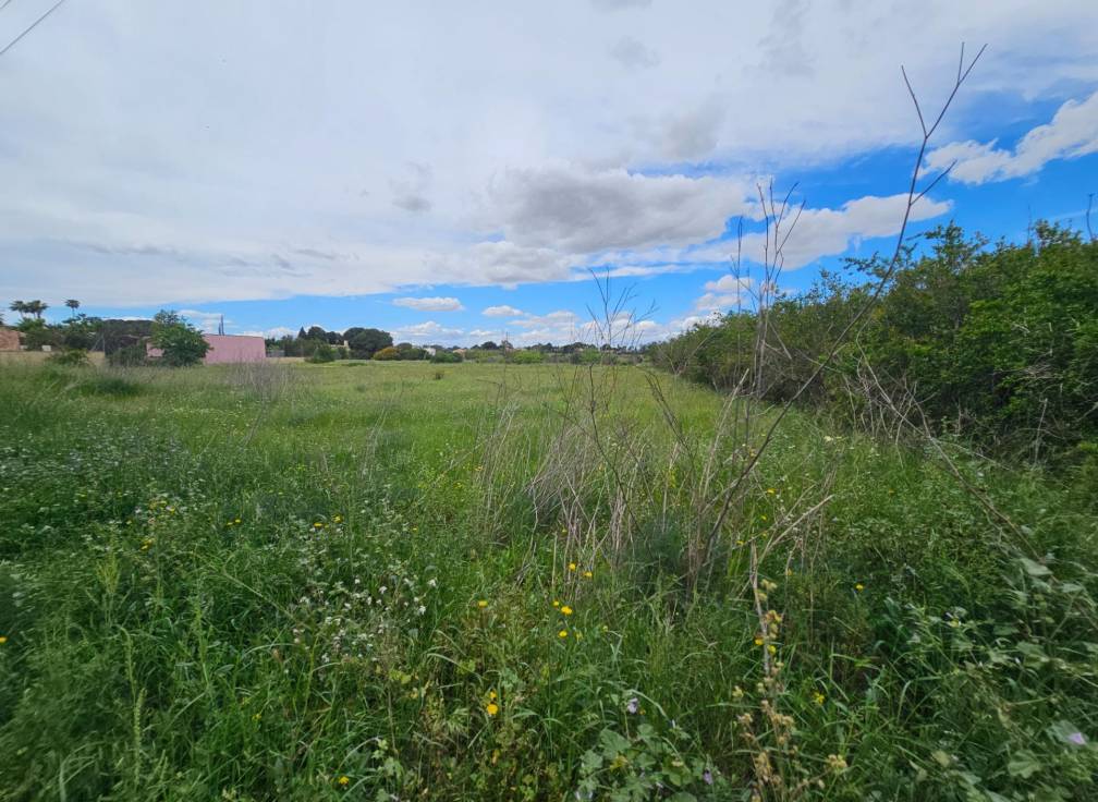 Revente -  - Valverde (Alicante) - Valverde