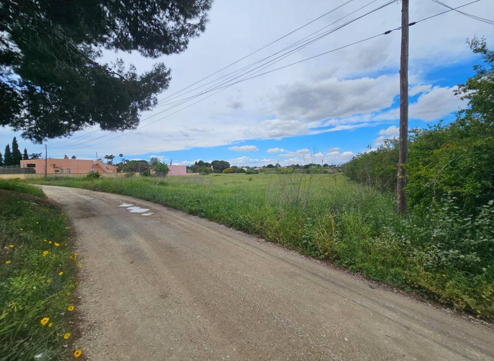 Revente -  - Valverde (Alicante) - Valverde