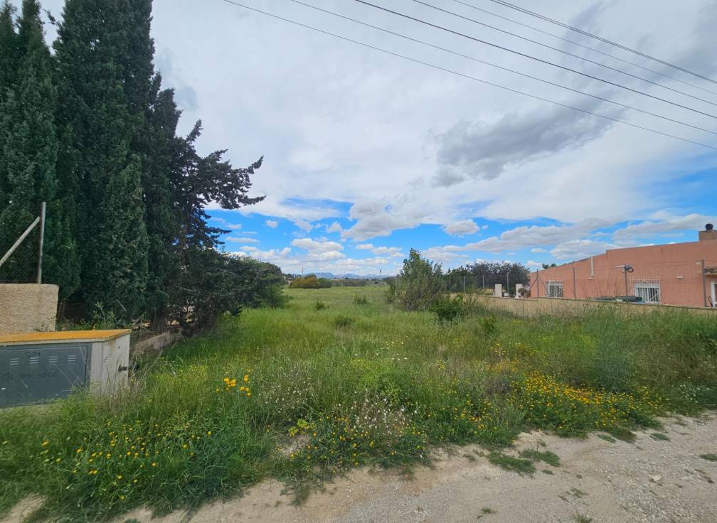 Revente -  - Valverde (Alicante) - Valverde