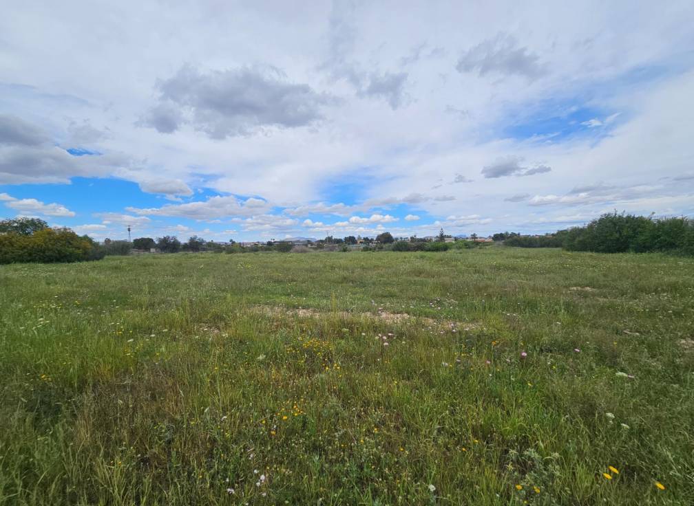 Revente -  - Valverde (Alicante) - Valverde