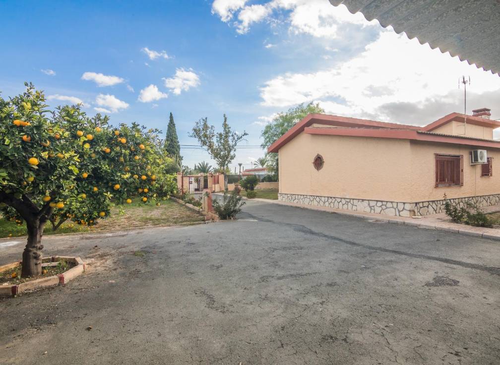 Revente - Villa - Crevillent - Comunidad valenciana