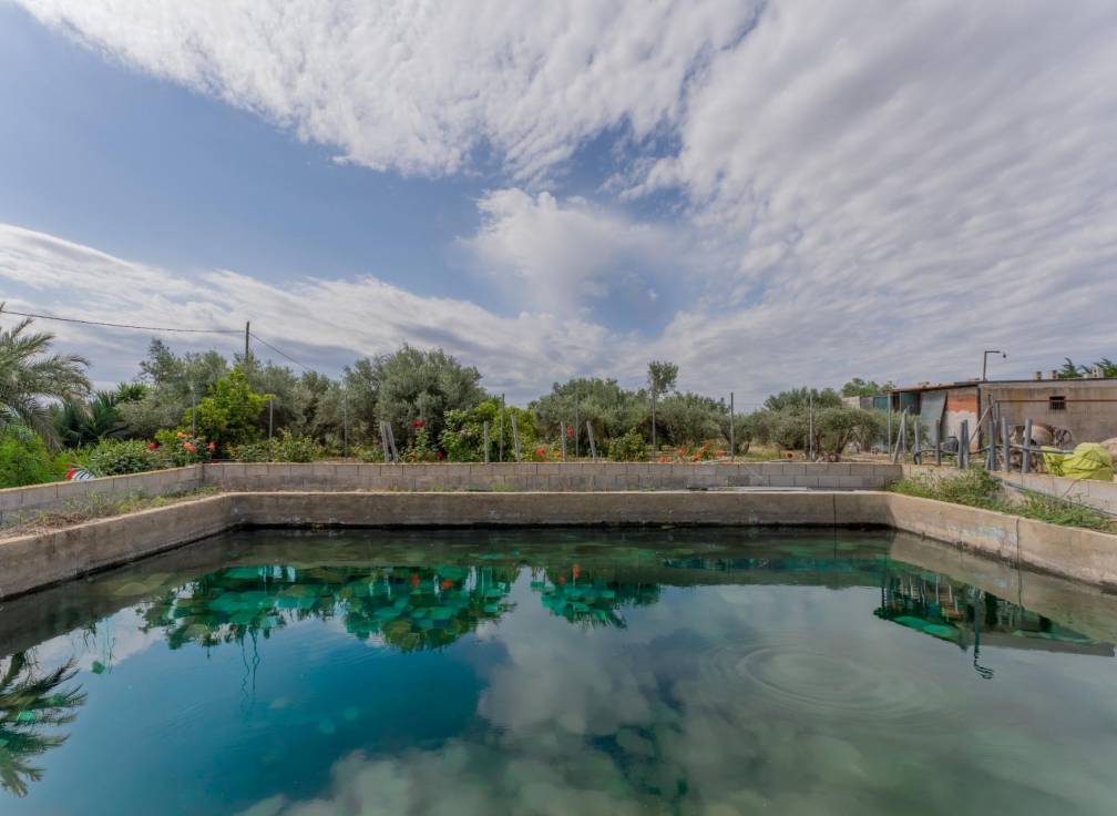 Revente - Villa - Crevillent - DERRAMADOR