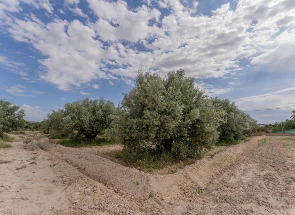 Revente - Villa - Crevillent - DERRAMADOR