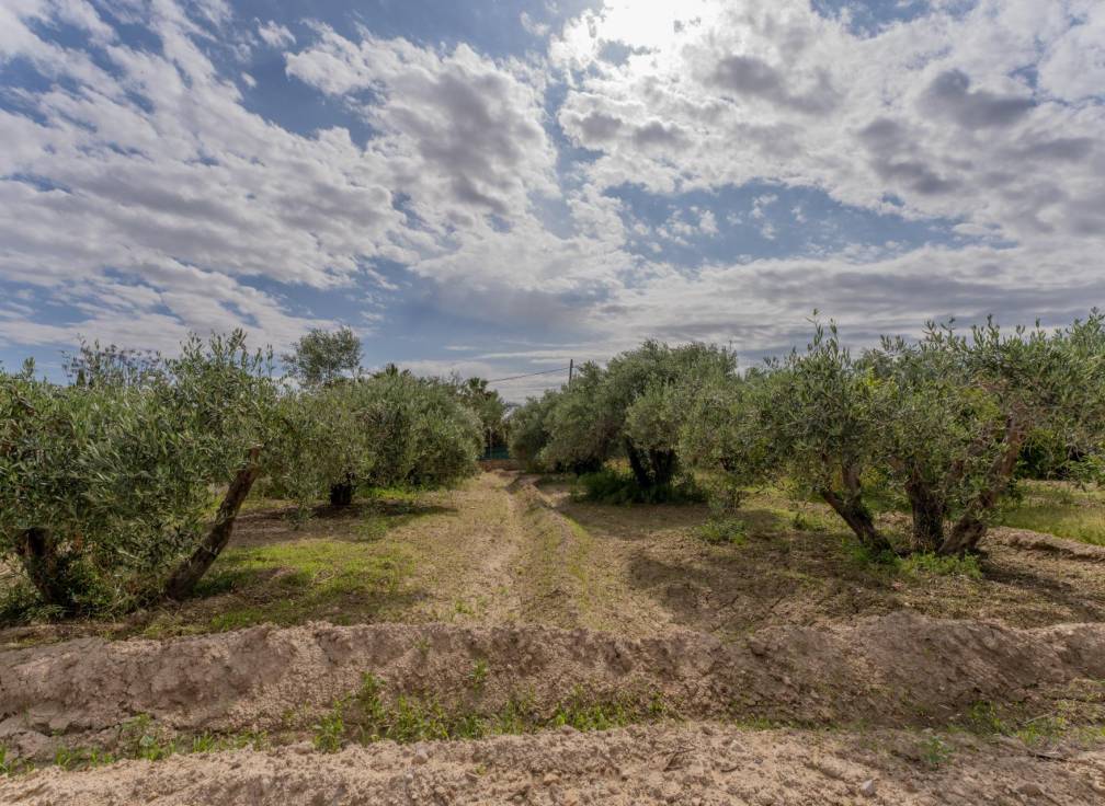 Revente - Villa - Crevillent - DERRAMADOR