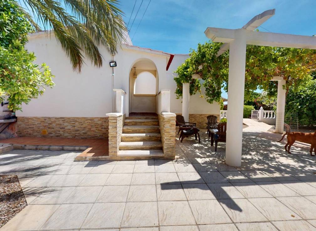 Revente - Villa - Crevillent - LA MANGRANERA