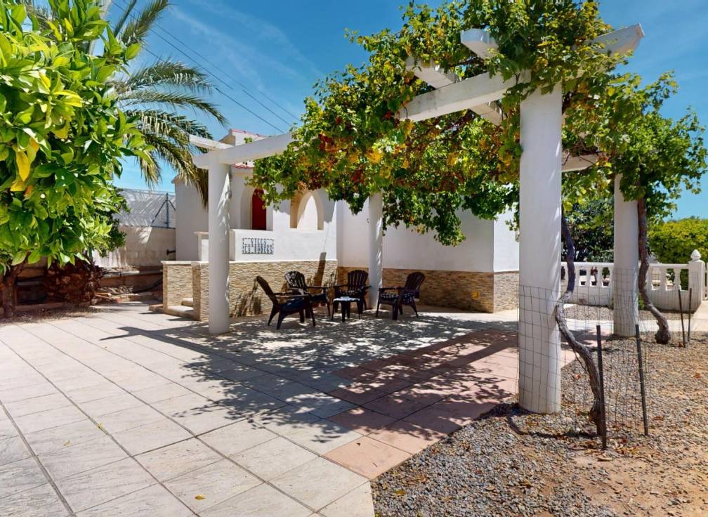 Revente - Villa - Crevillent - LA MANGRANERA