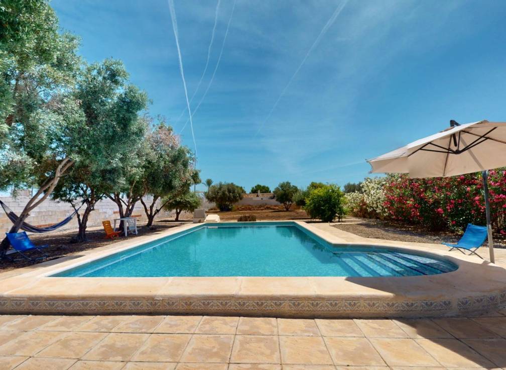 Revente - Villa - Crevillent - LA MANGRANERA