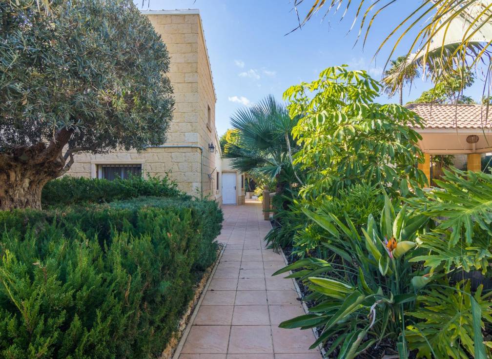 Revente - Villa - Elche - Bonavista