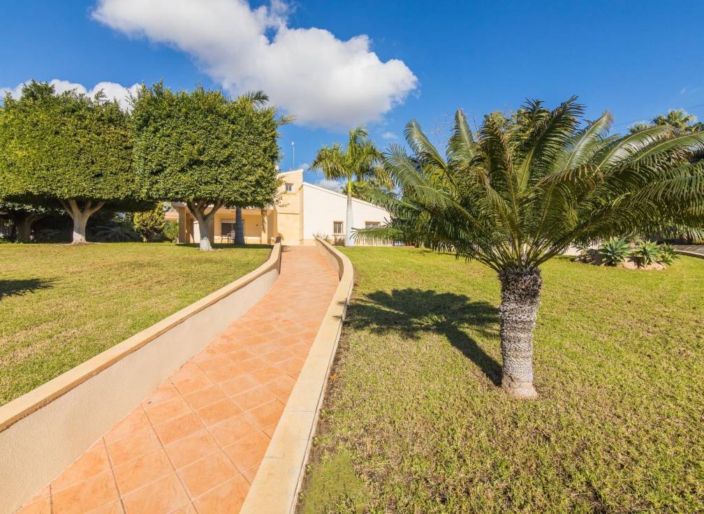 Revente - Villa - Elche - Bonavista