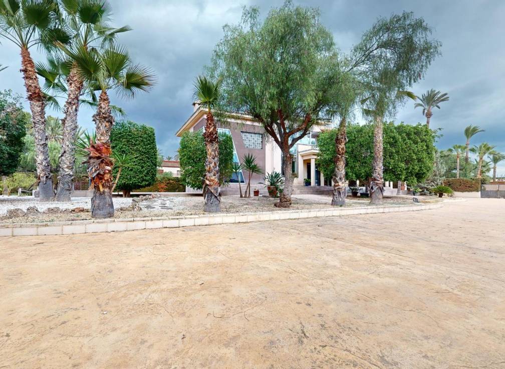 Revente - Villa - Elche - Elche / Elx