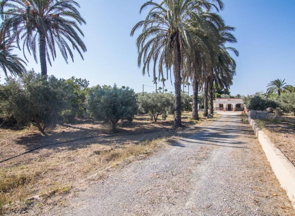 Revente - Villa - Elche - Elche / Elx