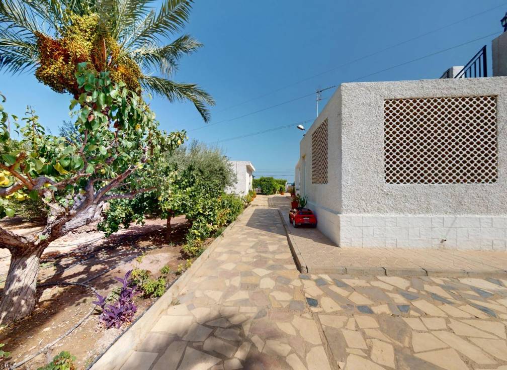 Revente - Villa - Elche - La Galia-Bonavista