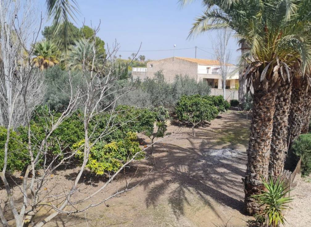 Revente - Villa - Elche Pedanías - Algoda