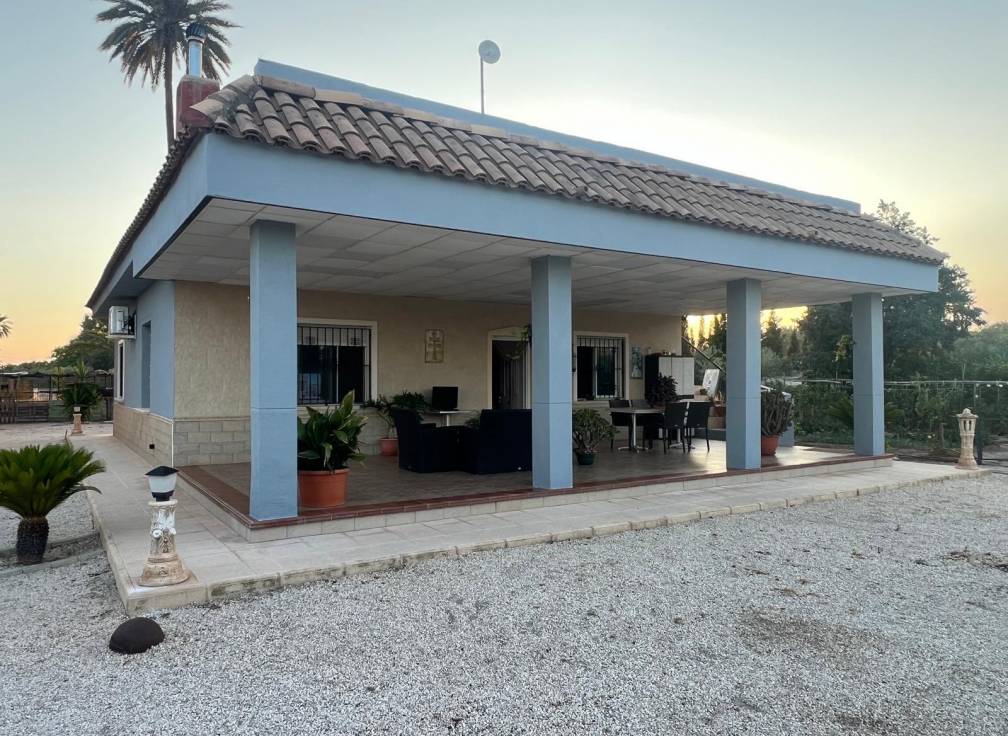 Revente - Villa - Elche Pedanías - Algoda
