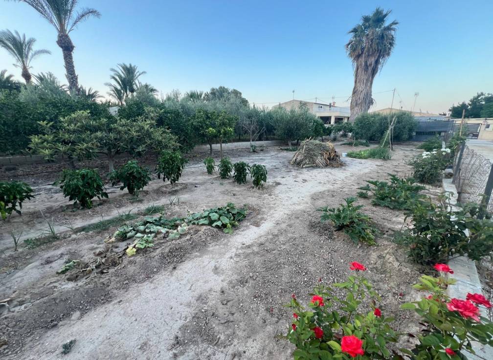 Revente - Villa - Elche Pedanías - Algoda
