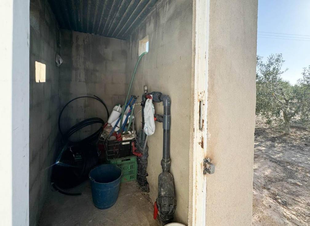 Revente - Villa - Elche Pedanías - Daimés