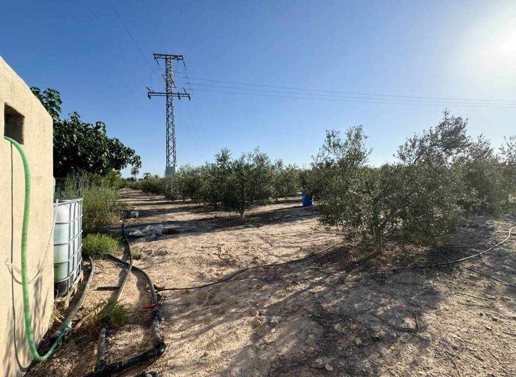 Revente - Villa - Elche Pedanías - Daimés