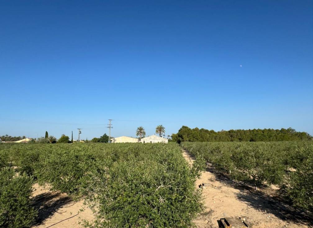 Revente - Villa - Elche Pedanías - Daimés