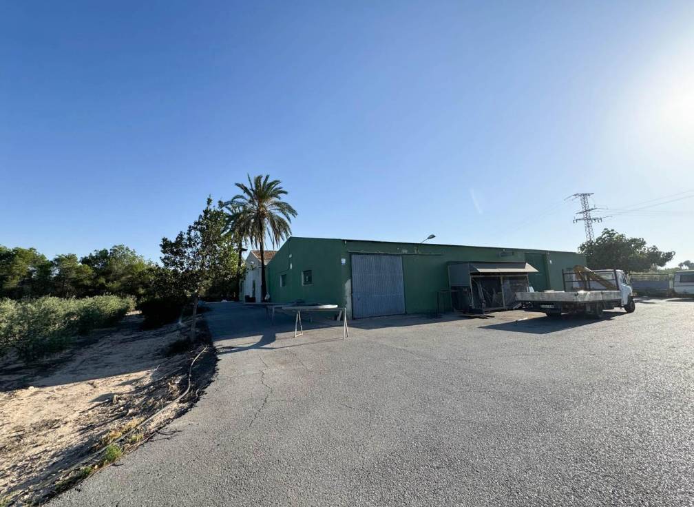 Revente - Villa - Elche Pedanías - Daimés