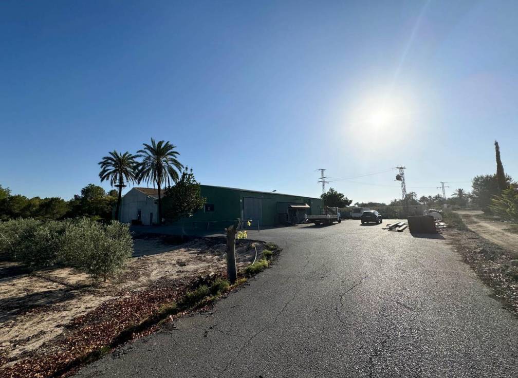 Revente - Villa - Elche Pedanías - Daimés