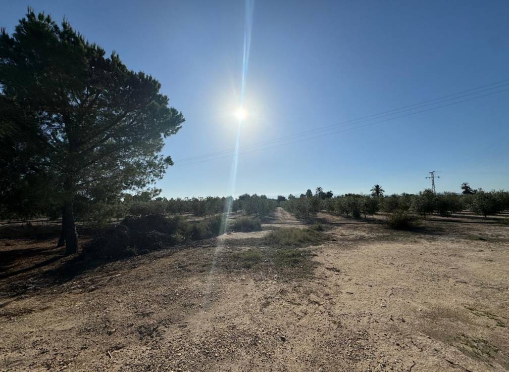 Revente - Villa - Elche Pedanías - Daimés