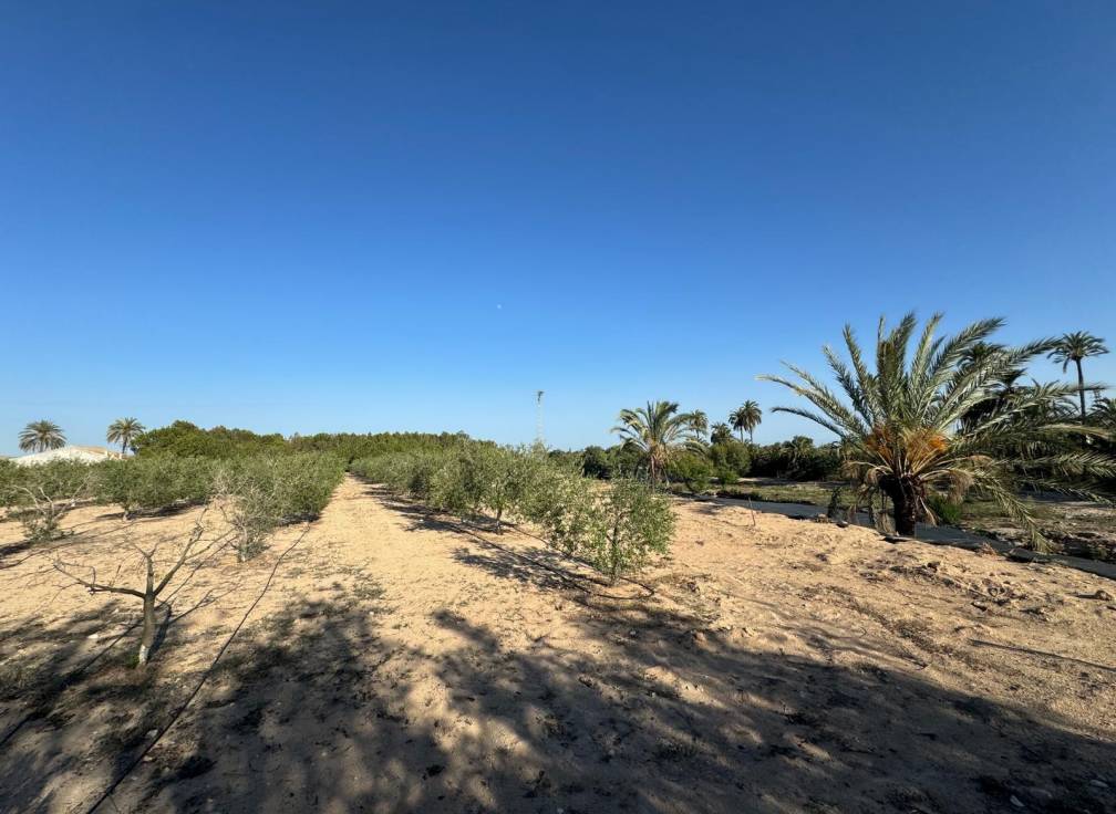 Revente - Villa - Elche Pedanías - Daimés