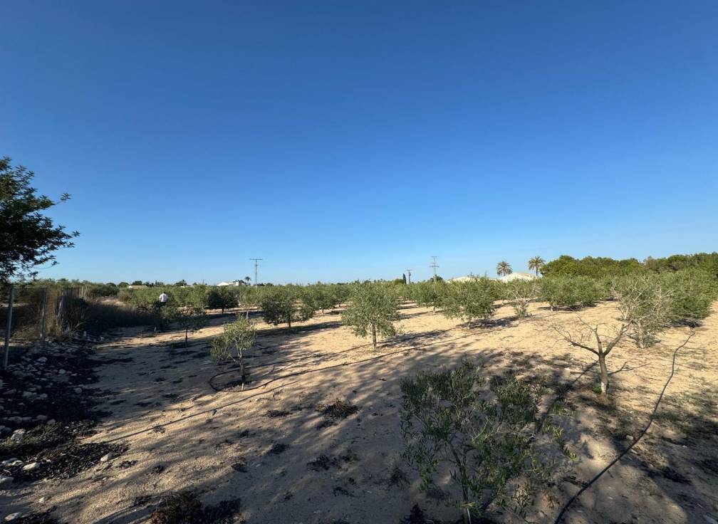 Revente - Villa - Elche Pedanías - Daimés