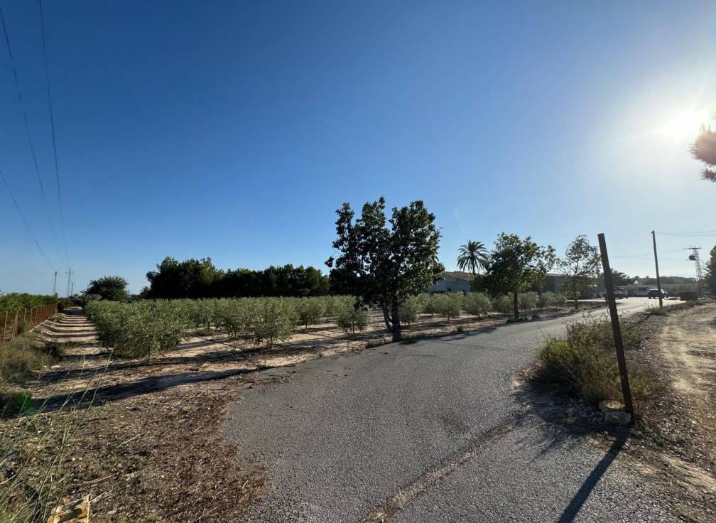 Revente - Villa - Elche Pedanías - Daimés