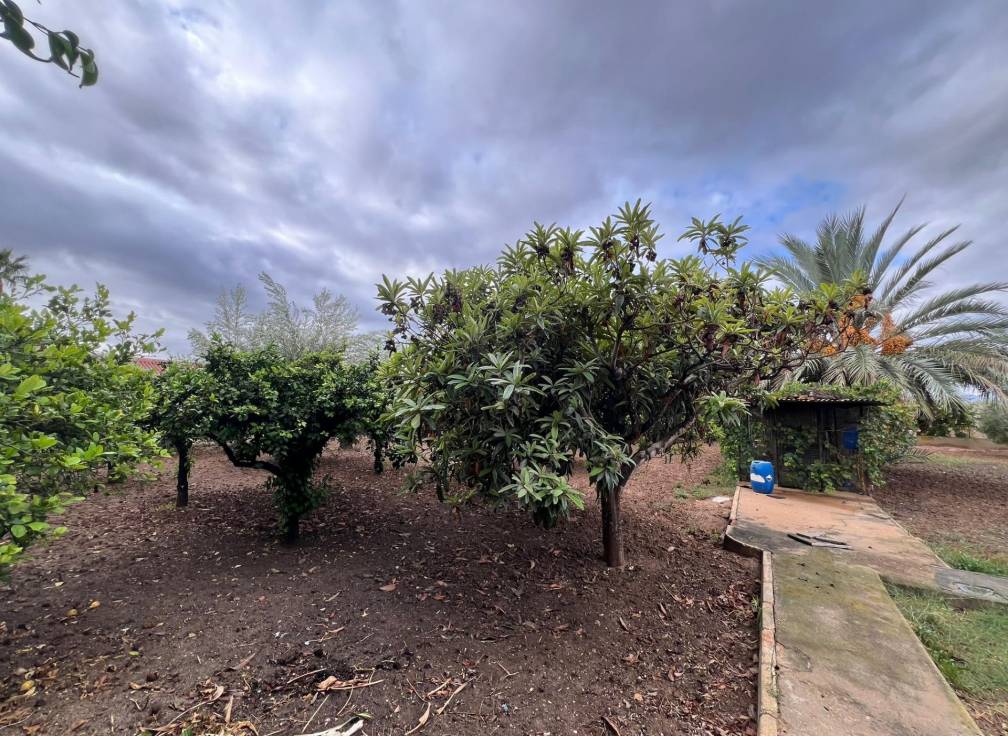 Revente - Villa - Elche Pedanías - Jubalcoi-Saladas