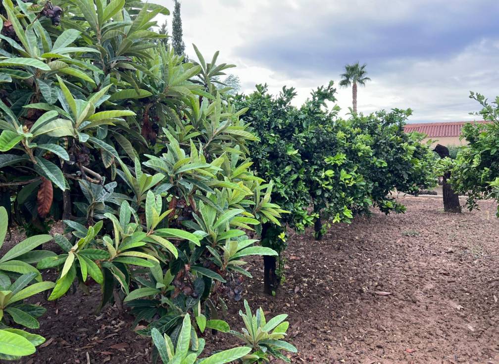 Revente - Villa - Elche Pedanías - Jubalcoi-Saladas