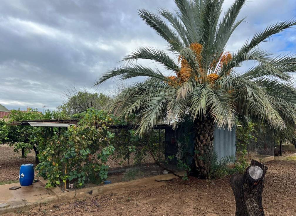 Revente - Villa - Elche Pedanías - Jubalcoi-Saladas