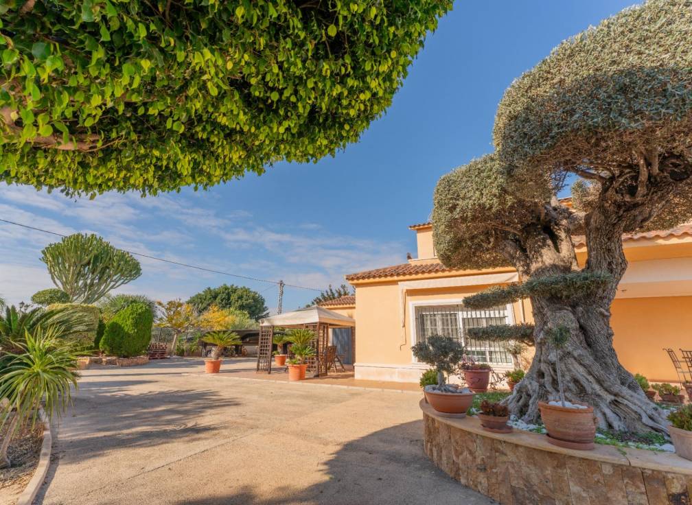 Revente - Villa - Elche Pedanías - Jubalcoy