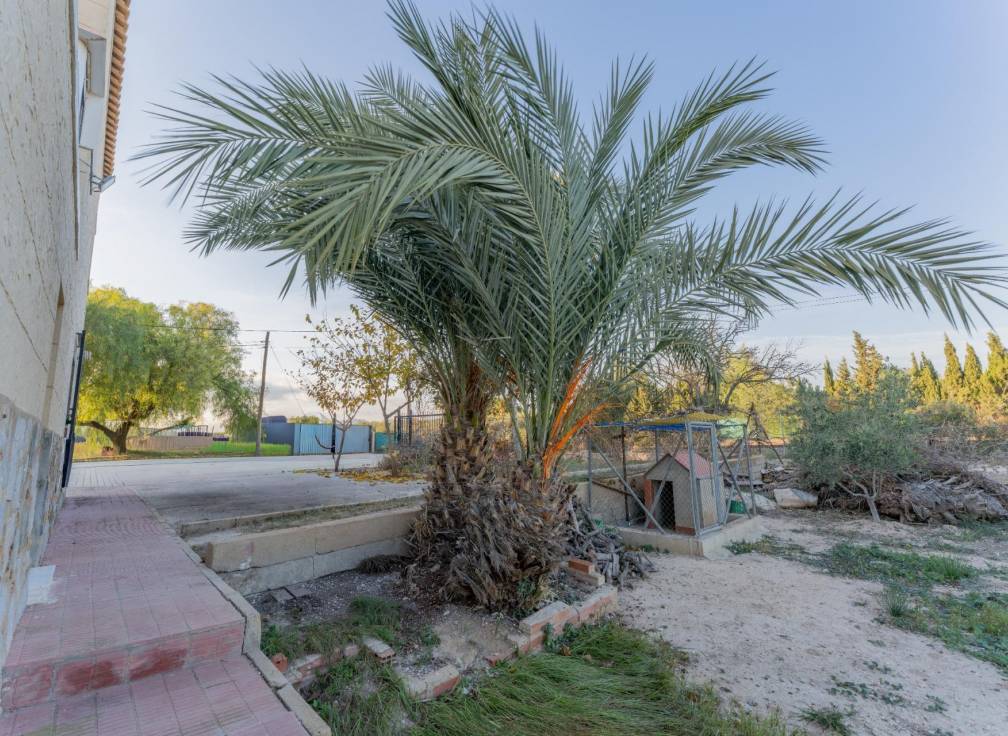 Revente - Villa - Elche Pedanías - Llano de san jose