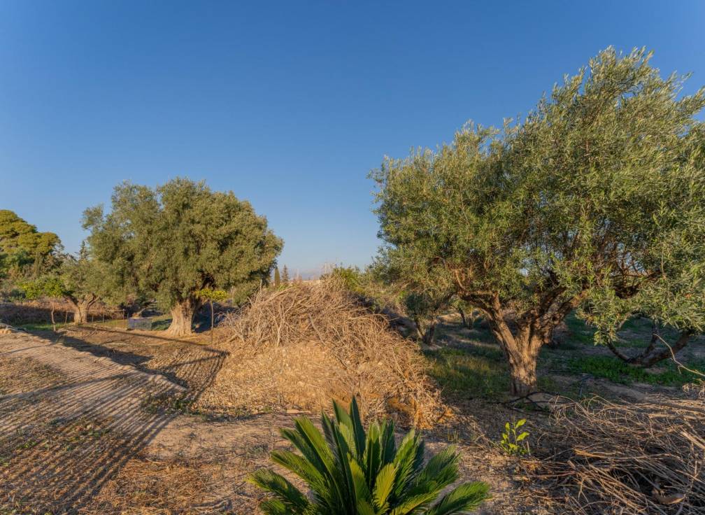 Revente - Villa - Elche Pedanías - Llano de san jose