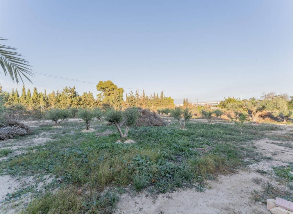 Revente - Villa - Elche Pedanías - Llano de san jose