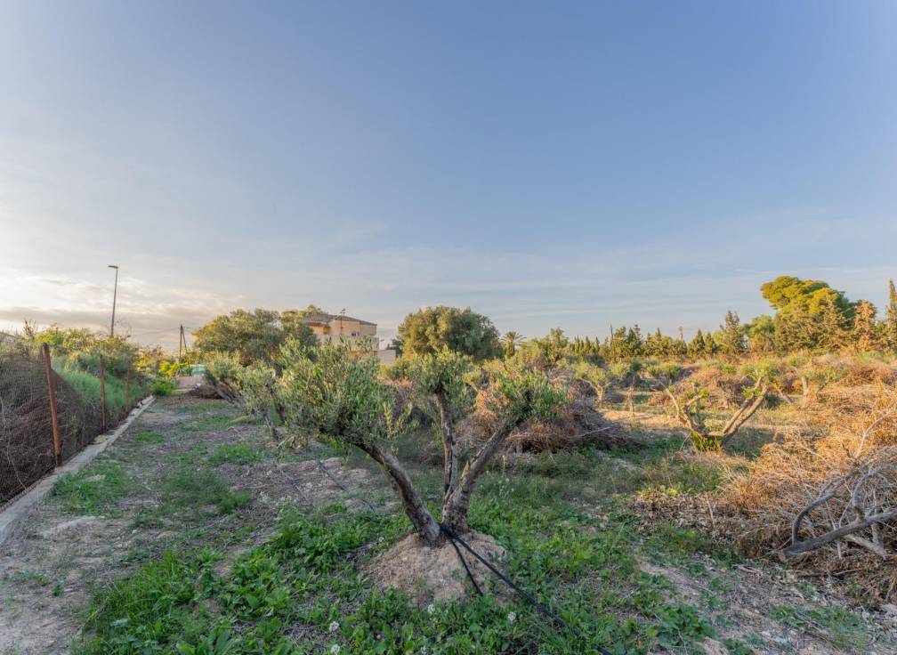 Revente - Villa - Elche Pedanías - Llano de san jose