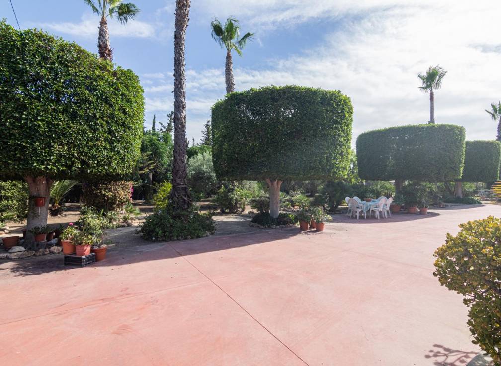 Revente - Villa - Elche Pedanías - Perleta