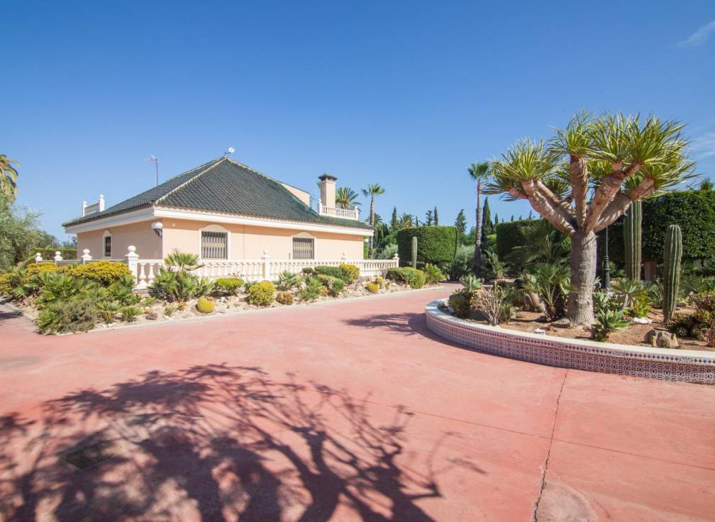 Revente - Villa - Elche Pedanías - Perleta