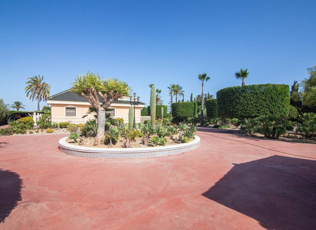 Revente - Villa - Elche Pedanías - Perleta