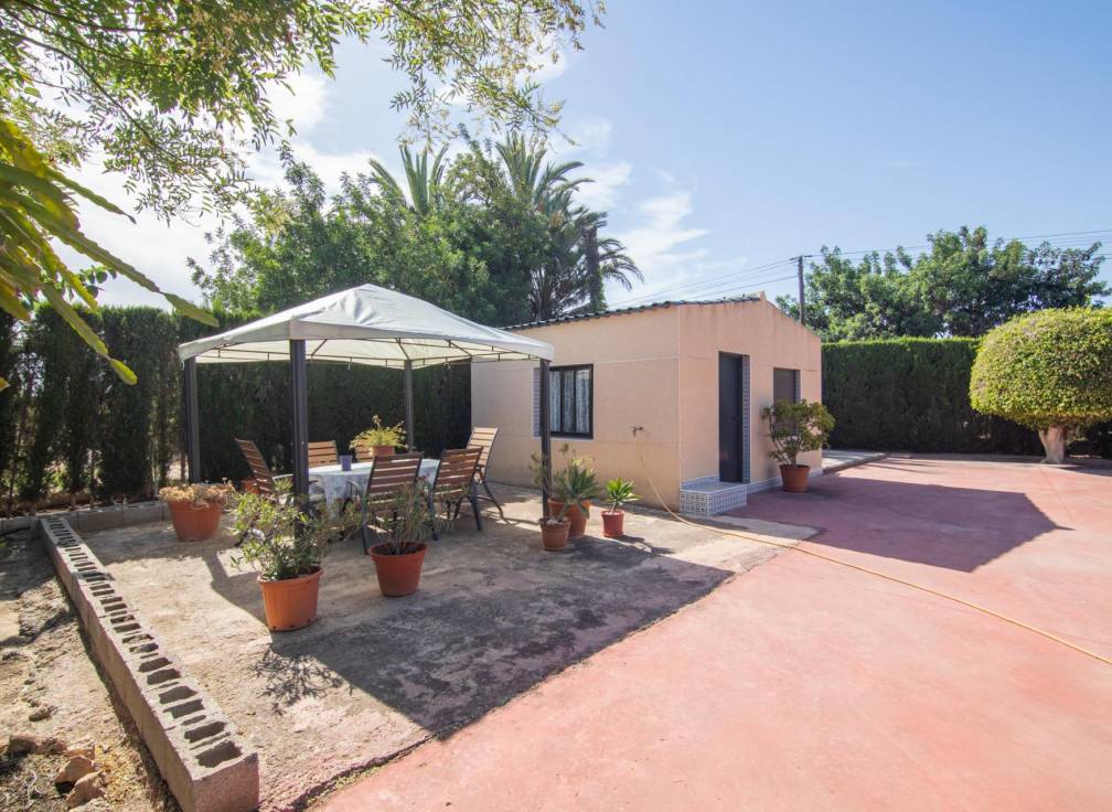 Revente - Villa - Elche Pedanías - Perleta